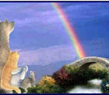 rainbow bridge