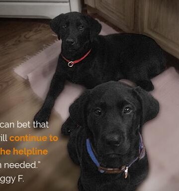 AKC GoodDog! HelplineSM