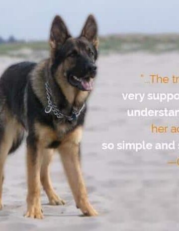 AKC GoodDog! HelplineSM