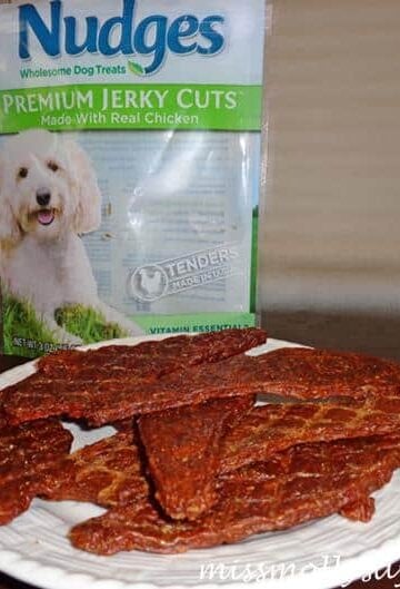 Nudges Premium Jerky Cuts Dog Treats #NudgesMoments