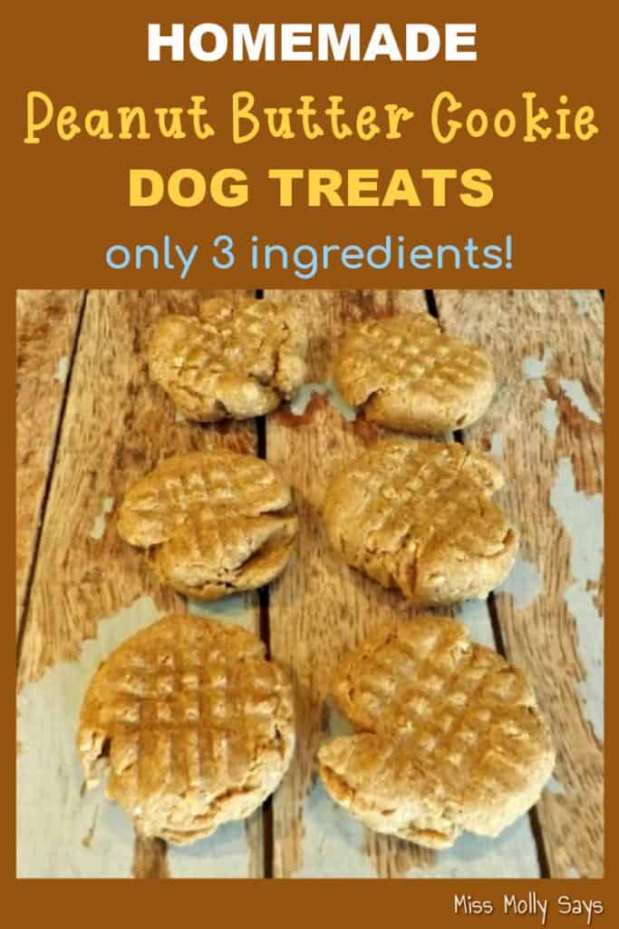 Homemade Peanut Butter Cookie Dog Treat Recipe (3 ingredients)