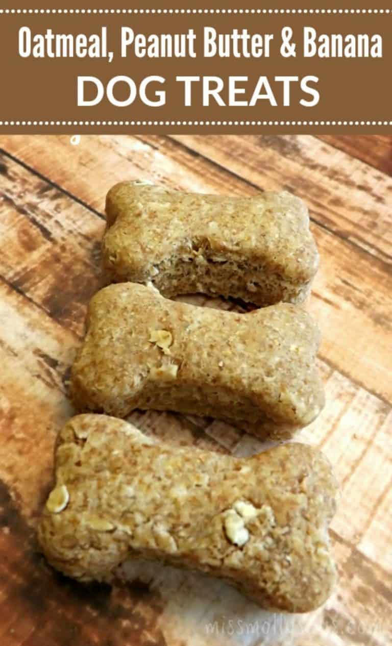 Oatmeal, Peanut Butter & Banana Dog Treats Recipe Miss Molly Says