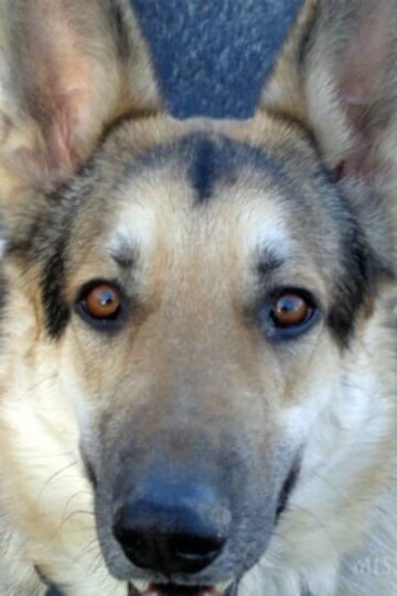 Maggie Enjoying Life #RecipeForMoments