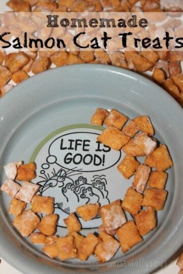 Homemade Salmon Cat Treats Recipe