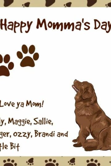 Miss-Molly's-Canine-Gift-Giving-Guide-for-Mother's-Day