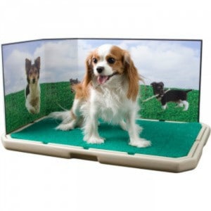 Piddle Place: Portable Indoor Puppy & Dog Potty - Miss Molly Says