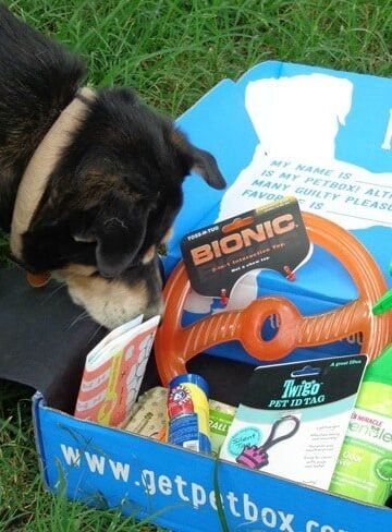 July's-PetBox-Brought-Us-Fun-and-Yummy-Goodies