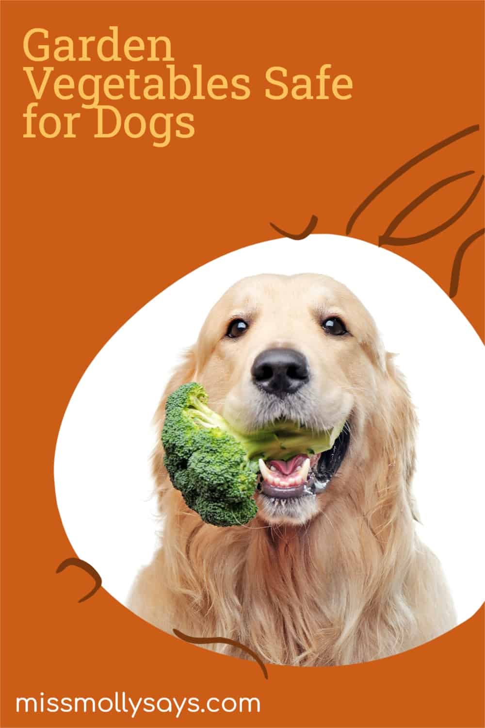 Garden Vegetables Safe for Dogs Miss Molly Says