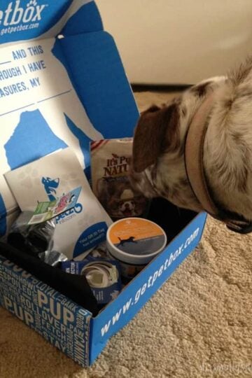 Petbox-monthly-subscription-box-Sept-Molly