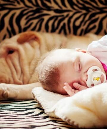 Tips-for-Introducing-your-Dog-to-the-new-Baby