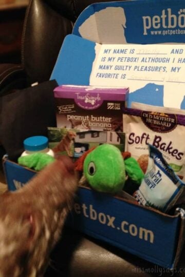 PetBox-October