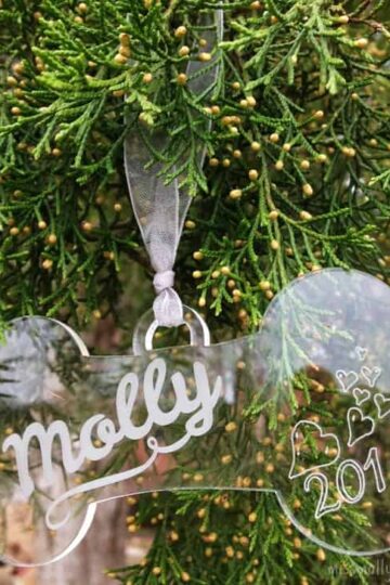 Marked-Moments-Personalized-Dog-Bone-Ornament