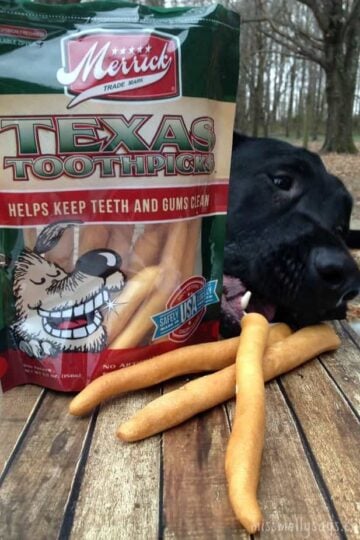 Merrick-Texas-Toothpicks