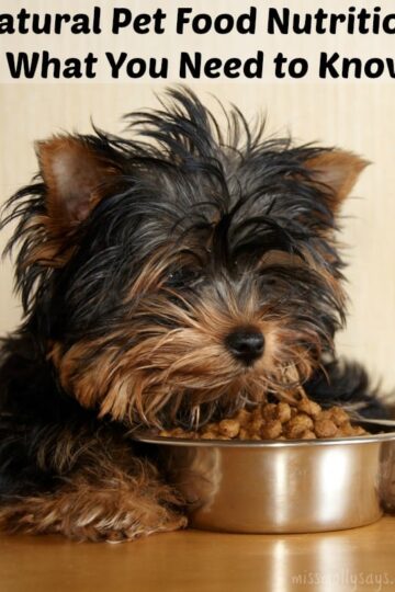 Natural-Pet-Food-Nutrition-What-You-Need-to-Know