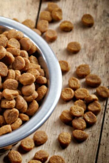 Organic-Dog-Food-Brands-Best-for-Health