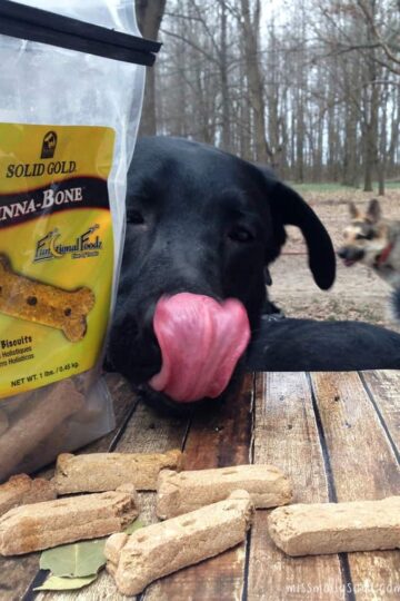 Solid-Gold-Cinna-Bone-Holistic-Dog-Treats