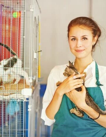 How Giving to Pet Charities Gives Back to You