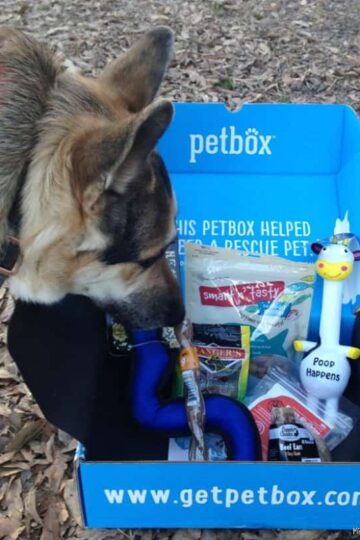 January PetBox Review: Woofalicious Dog Treats and Pawsome Toys!