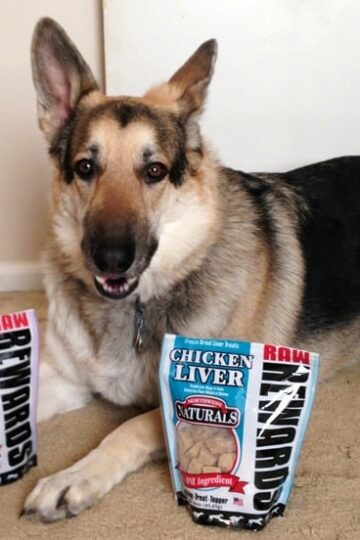 Northwest Naturals Raw Rewards Freeze Dried Dog Treats from Natural Pet Warehouse - Maggie