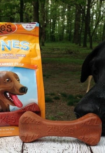 Zuke's Z-Bones Grain Free Dental Chews for Dogs #Review