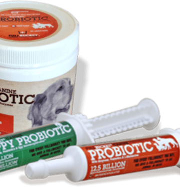 Huge Savings on Canine Probiotic Supplements from Fullbucket!