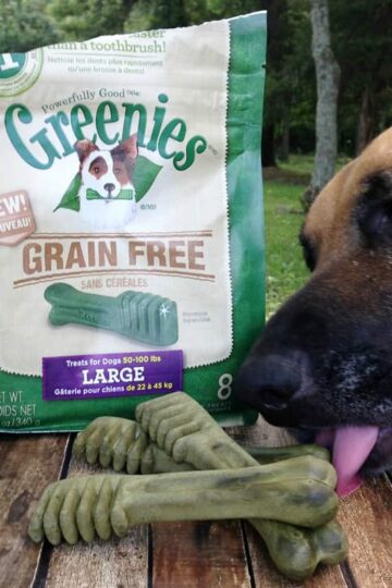 Greenies Grain-Free Dental Dog Treats for Healthy Teeth & Gums #Review