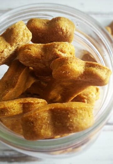 Pumpkin and Peanut Butter Dog Treats