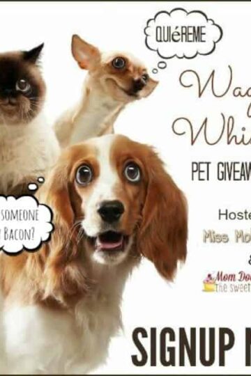 #Bloggerswanted |Wags and Whiskers Pet #Giveaway Hop Sign-Ups!