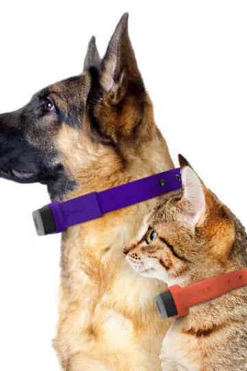 Keep Your Pets Safe with a GPS Tracker Collar! #NuzzleSmartCollar