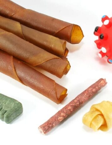 10 Ways to Save on Pet Supplies
