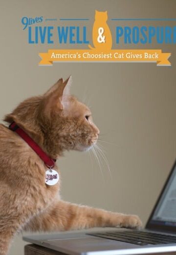 9 Lives' Morris the Cat Helps Us Help Hungry Kitties #MorrisFeeds