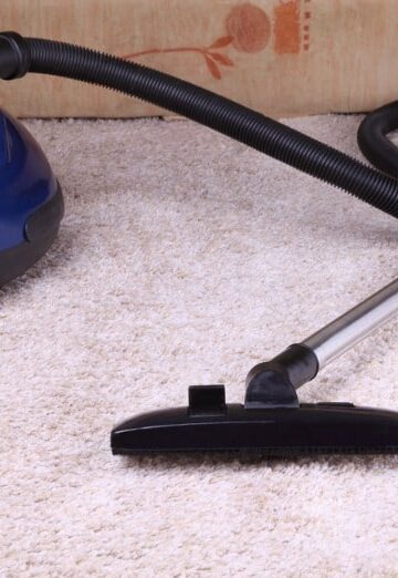 Carpet Cleaning Tips for Pet Owners