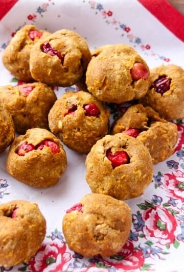 Homemade Cranberry & Pumpkin Dog Treats