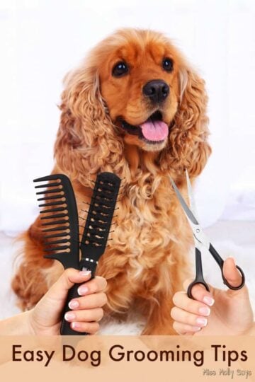 Easy Dog Grooming Tips