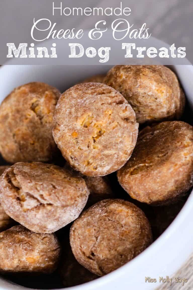 Homemade Cheese & Oats Mini Dog Treats Miss Molly Says