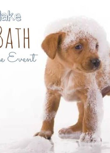How to Make Fido's Bath a Stress-Free Event
