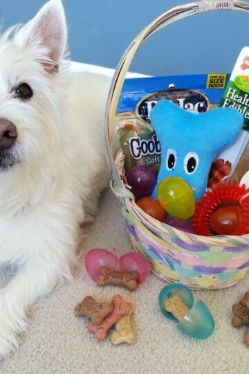 DIY Easter Basket for Dogs
