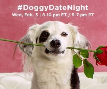 Hugs and wet, sloppy kisses! You're invited to a #DoggyDateNight Twitter Party on 2/3 8pm est