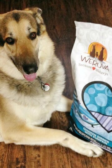 Weruva Caloric Harmony: High Protein Low Carb Dog Food #WeruvaDog
