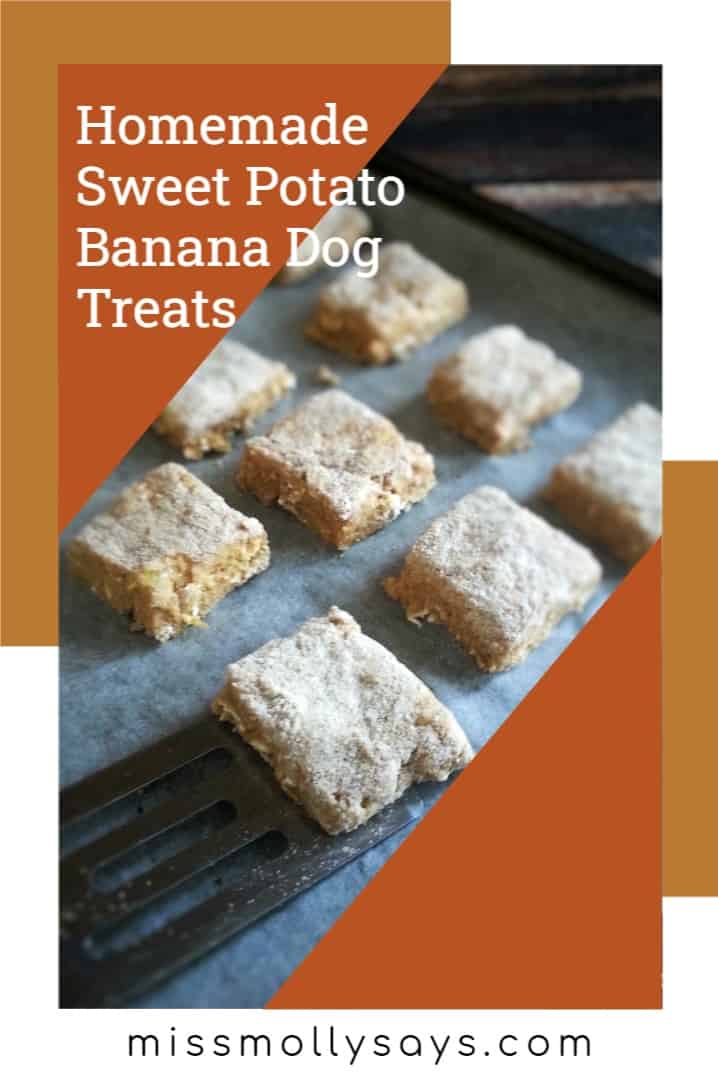 Homemade Sweet Potato Banana Dog Treats Miss Molly Says