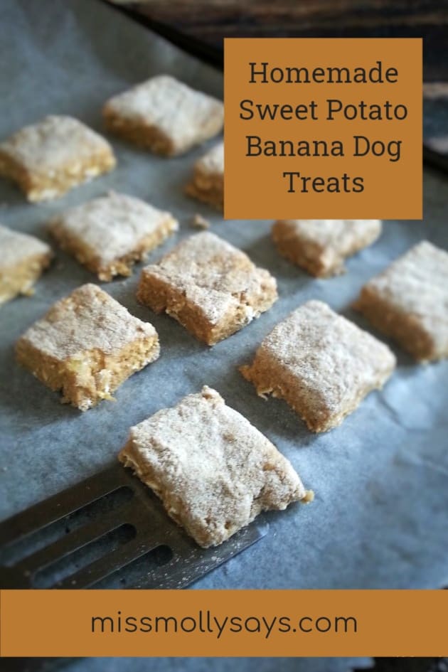 Homemade Sweet Potato Banana Dog Treats Miss Molly Says