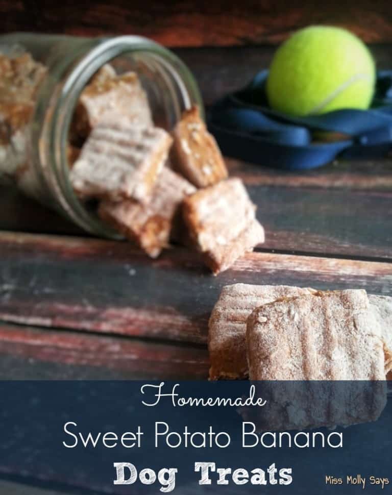 Picture of Homemade Sweet Potato Banana Dog Treats - Miss Molly Says