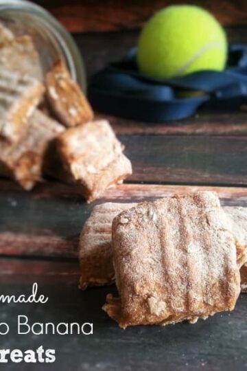Homemade Sweet Potato Banana Dog Treats