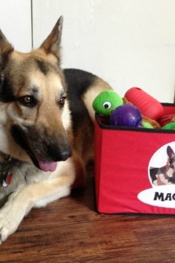 PrideBites Personalized Pet Products as Featured on Shark Tank! #PrideBites