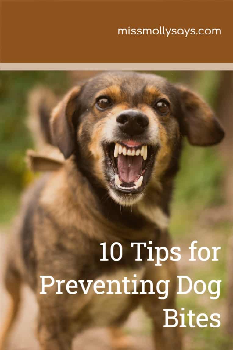 10 Tips for Preventing Dog Bites Miss Molly Says