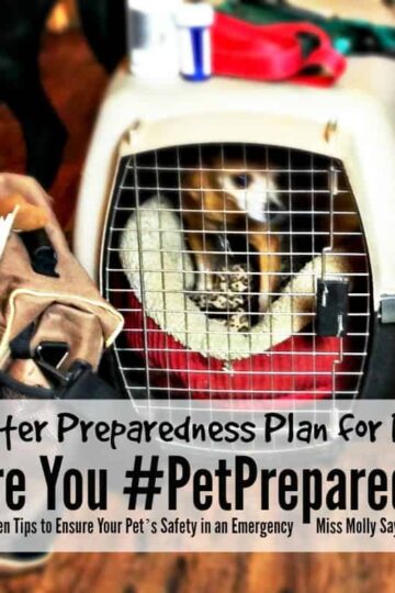 Disaster Preparedness Plan for Pets: Are you #PetPrepared?