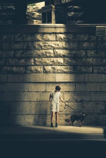 Keep Your Dog Safe on Evening Walks