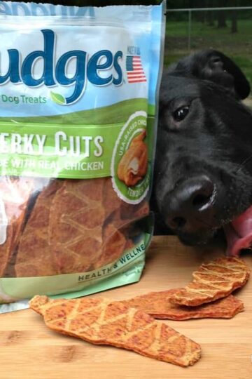 Nudges® Wholesome Dog Treats #NudgeThemBack