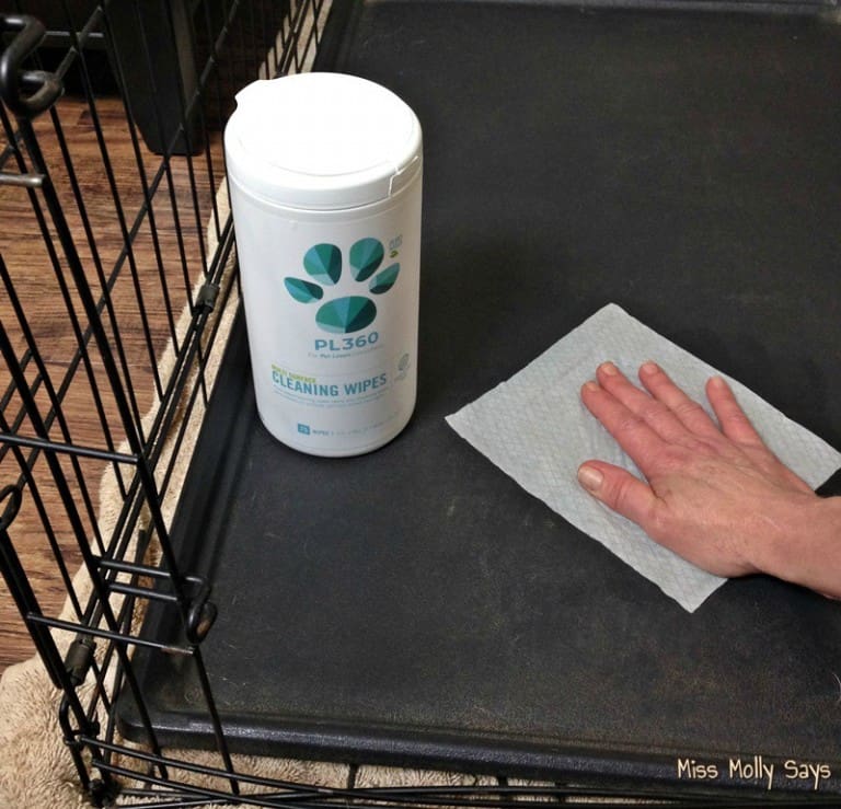 PL360 Natural Cleaning Products for Pet Friendly Spring Cleaning + a