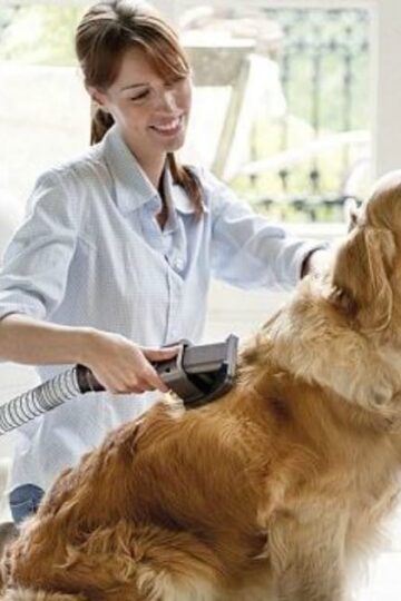 Tricks to Clear Your House of Pet Dander for Good